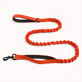 ParoPet Bungee Dog Lead