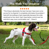 ParoPet No-Pull Dog Harness