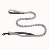 ParoPet Bungee Dog Lead