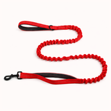 🎁 FREE ParoPet Bungee Lead