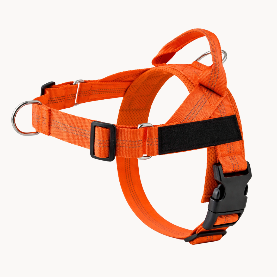 Orange Harness