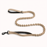 🎁 FREE ParoPet Bungee Lead