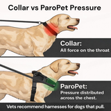 ParoPet No-Pull Dog Harness