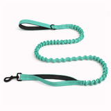 🎁 FREE ParoPet Bungee Lead