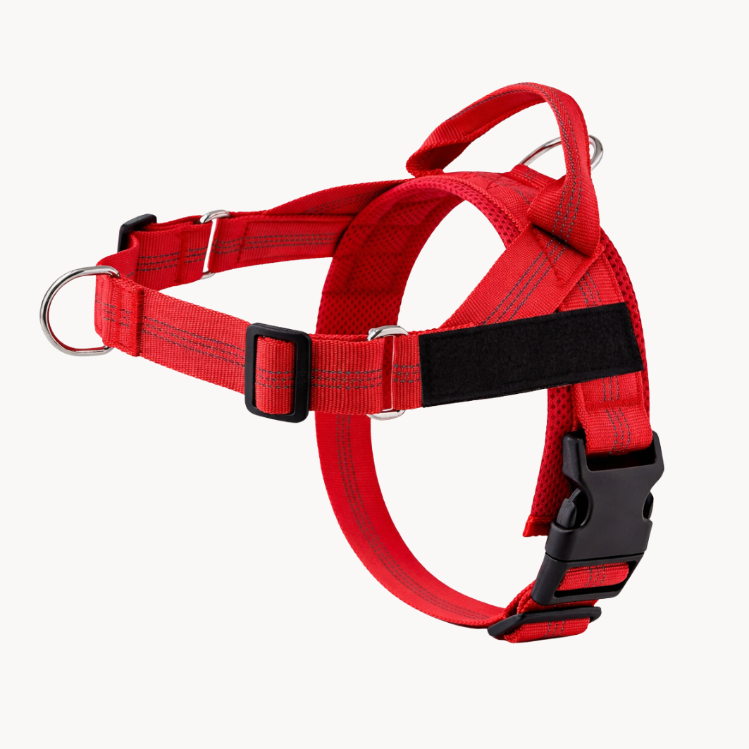 Red Harness