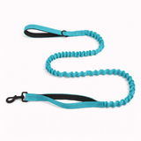 🎁 FREE ParoPet Bungee Lead