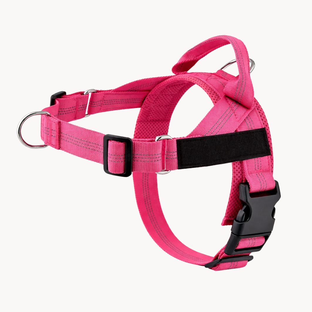 Pink Harness