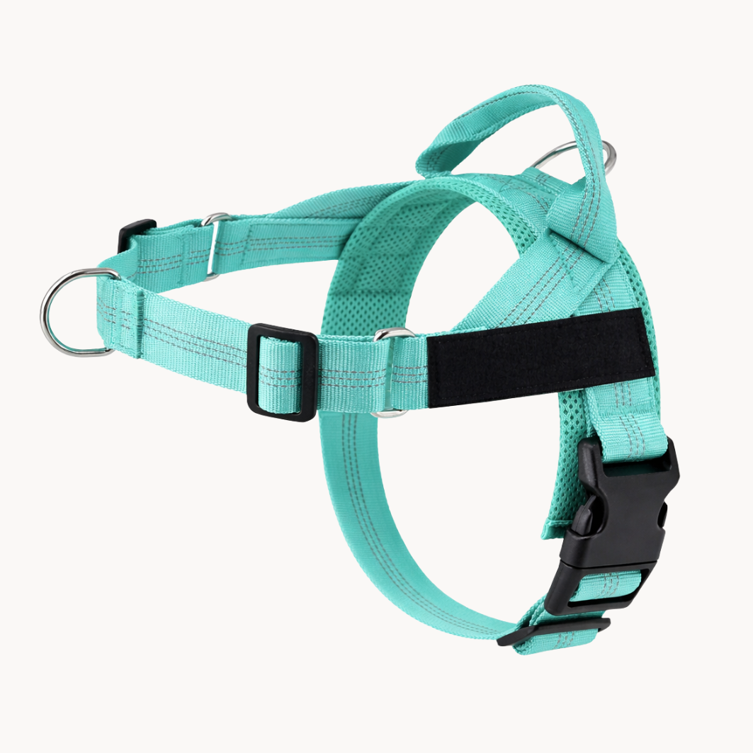 Turquoise Green Harness