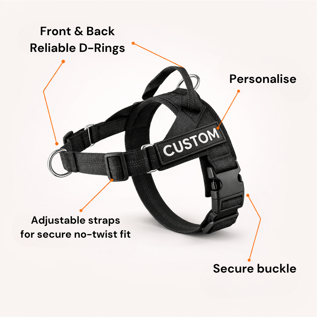 ParoPet No-Pull Dog Harness