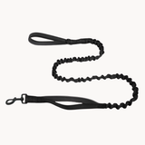 🎁 FREE ParoPet Bungee Lead