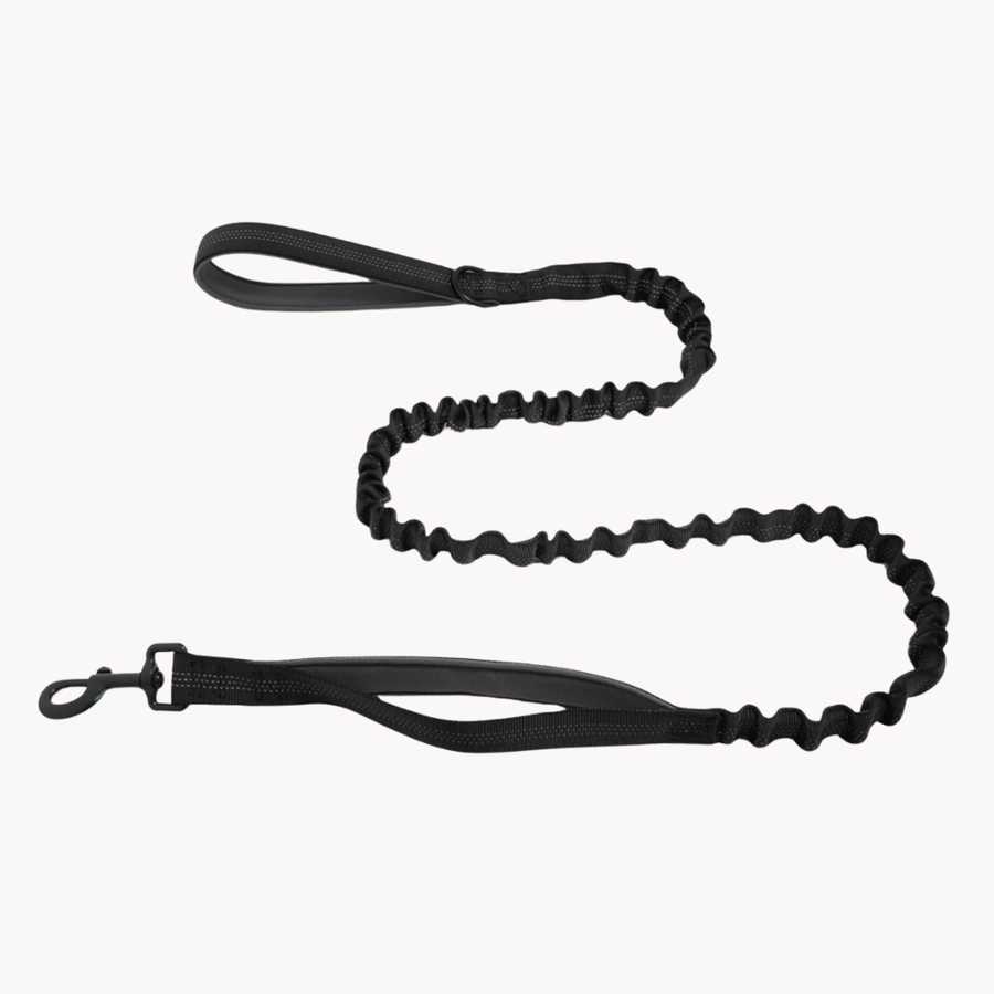 🎁 FREE ParoPet Bungee Lead