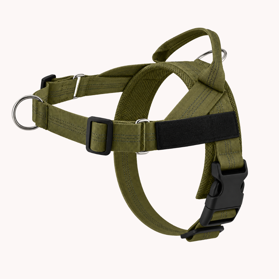 Army Green Harness