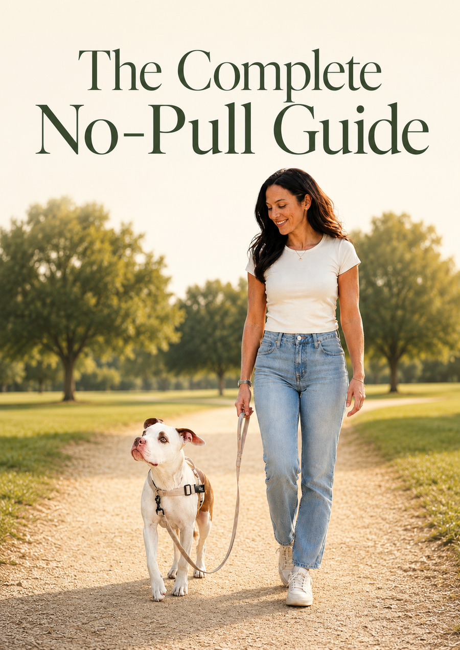 The Complete No-Pull Guide