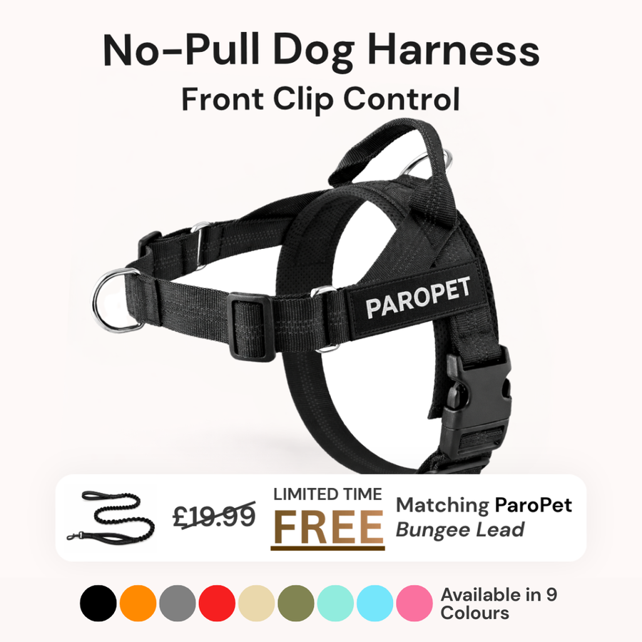 ParoPet No Pull Dog Harness