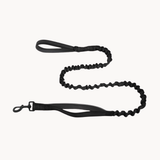ParoPet Bungee Dog Lead
