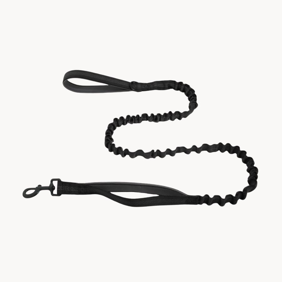 ParoPet Bungee Dog Lead
