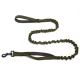 🎁 FREE ParoPet Bungee Lead